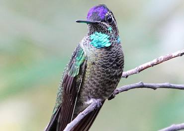 Screenshot 2025 05 22 at 11.22.07 AM